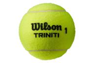 piłki do tenisa ziemnego wilson trinity club tball wr8201501001 1szt